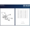 Gilles MUE2 Rearsets for Ducati Panigale V4 (2025+) Gilles MUE2 Rearsets for Ducati Panigale V4 (2025+)